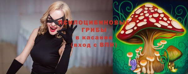 ПСИЛОЦИБИНОВЫЕ ГРИБЫ Абинск