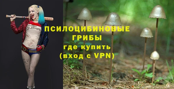 ПСИЛОЦИБИНОВЫЕ ГРИБЫ Абинск