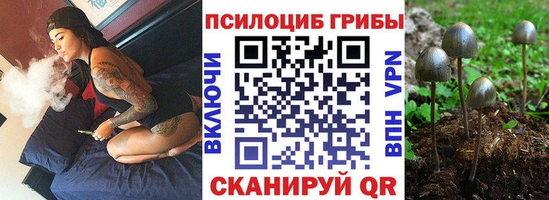 Псилоцибиновые грибы ЛСД  Палласовка 